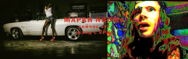 ПСИЛОЦИБИНОВЫЕ ГРИБЫ Алексин