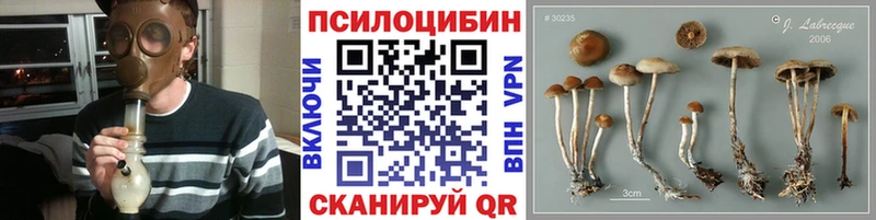 Псилоцибиновые грибы MAGIC MUSHROOMS  Льгов 