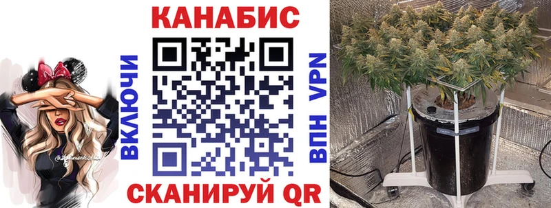 где продают   Льгов  блэк спрут   Каннабис Bruce Banner 